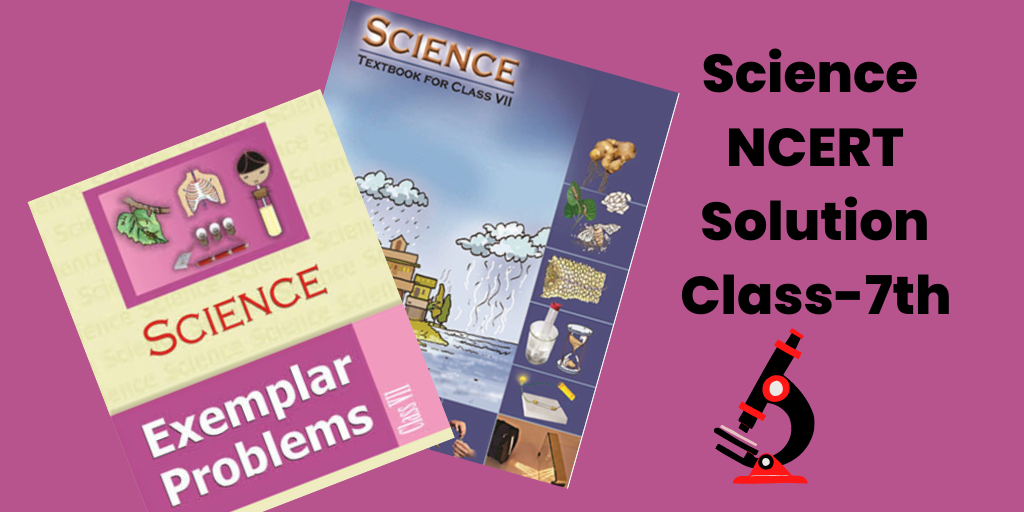 class 7 science